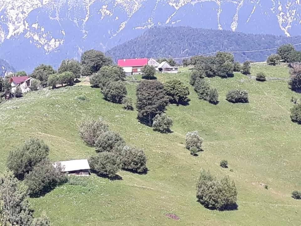 Villa Casa Claudiu Măgura Exterior foto